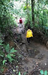 Hiking Gunung Rinjani